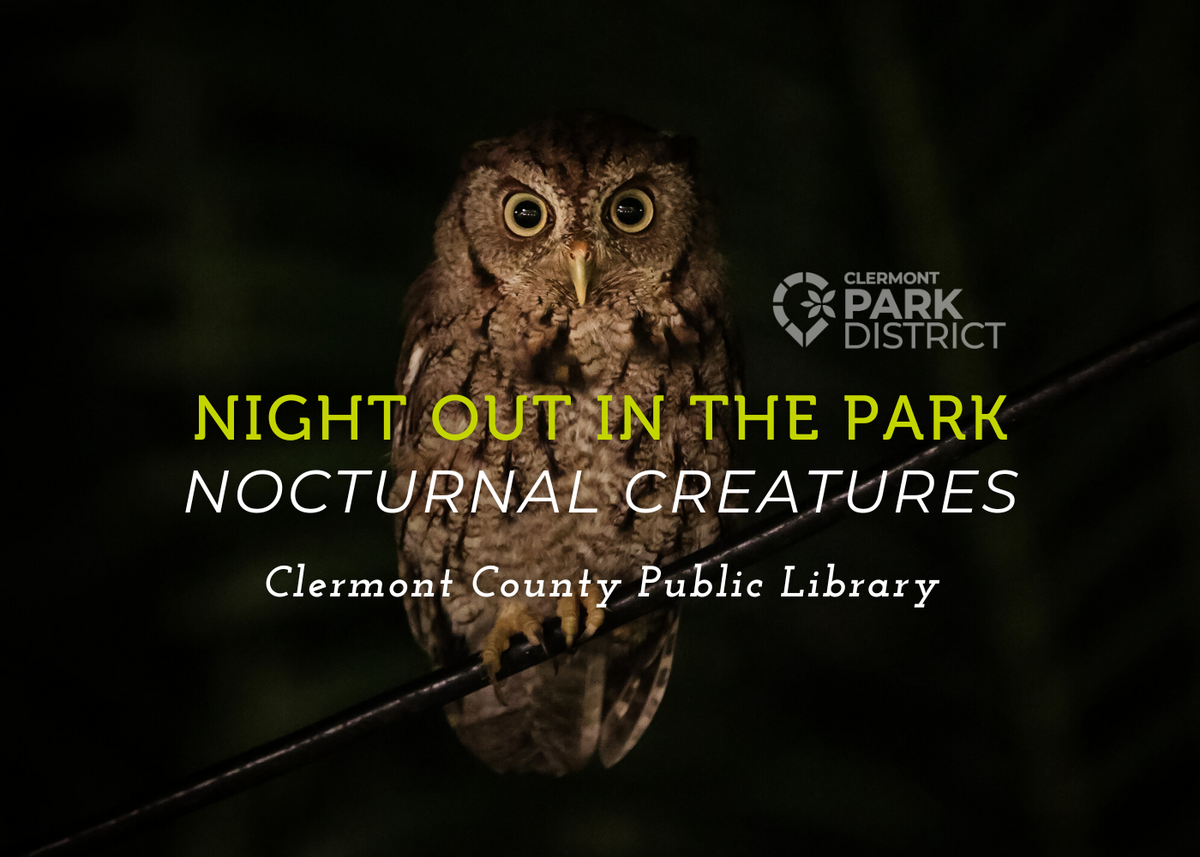 night out at the park june